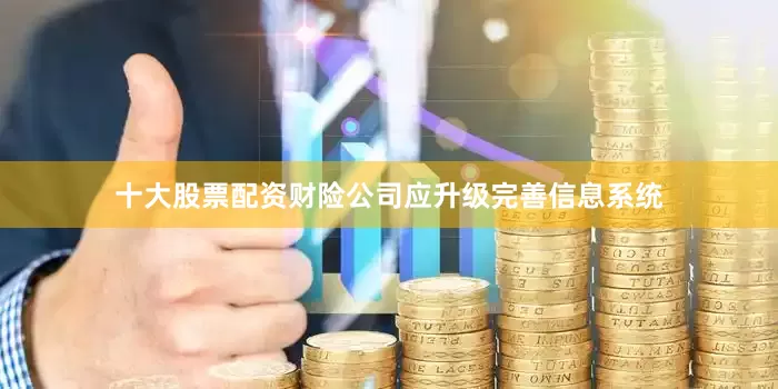 十大股票配资财险公司应升级完善信息系统