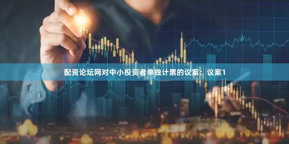 配资论坛网对中小投资者单独计票的议案：议案1