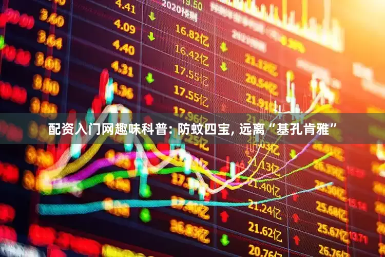 配资入门网趣味科普: 防蚊四宝, 远离“基孔肯雅”